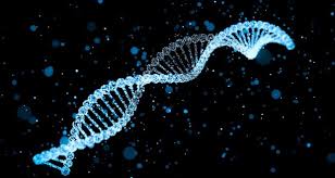 Image result for looking for dna evidence